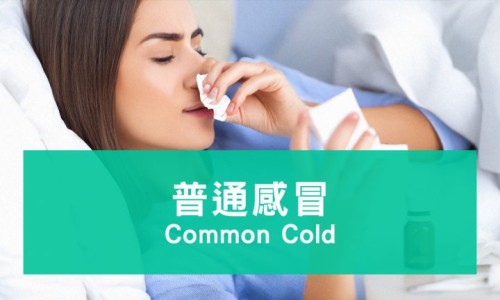 康忻片图片-专业康忻药片图片平台-康忻主要治什么病